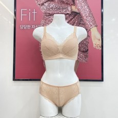 비비안후크