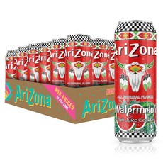과일주스 과일드링크 과즙음료 아리조나 수박주스 칵테일 빅캔 22 Fl Oz 24개, 650ml