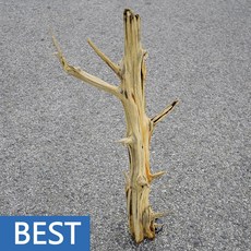 유목 대형 79cm 국산, 1개