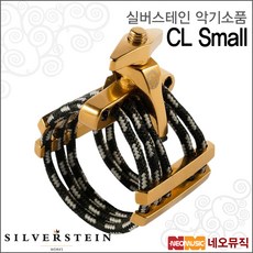 실버스테인리가춰