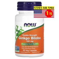 NaturesPlus 더블 스트렝스 징코 빌로바 은행나무 추출 120mg Ginkgo Biloba, 50정, 1개
