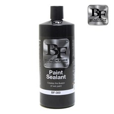 블랙파이어실런트