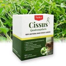 이나영시서스알약