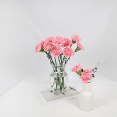 24d6f19b3ec462f51e594e1946f095c7e3474225206c151cd9346d04ec54.jpg