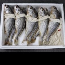 보리굴비장아찌