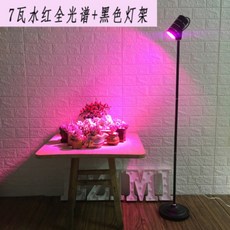 풀스펙트럼 인공햇빛 LED 식물조명 식물등, 7W / 레드 / 블랙 스탠드