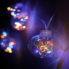 강아지크리스마스포토존