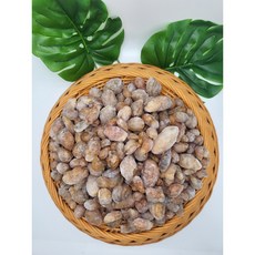 냉동 해물용 오만둥이 1kg, 2개