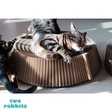 1+1 무배 아코디언 스크래쳐, 1세트, 1+1 (무료배송)