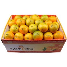 산지직송 제주 하우스 감귤 중과 5kg M~L(41~60과 내외), 단품없음