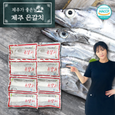 김현숙제주은갈치