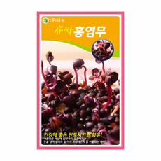 홍염