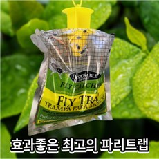 파리 트랩 날 초 플라이 퇴치기 포획 박멸 제거 초파리 FLY TRAP 싹쓰리 잡기, 1개입, 1개