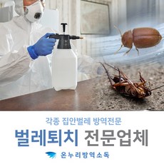 나방파리제거 날파리퇴치방법 바퀴벌레 화곡나방 화랑곡나방애벌레 화분날파리 화장실해충 집나방 집날파리 집벌레제거 집안날파리 파리나방 파리모기 아파트초파리 아파트해충 여름벌레 원룸날파리