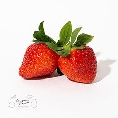 e4de6ef6ecce1b2f91a6a618be57b1bc029afc394f325c96f152a93f6c9f.jpg