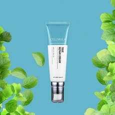 루벤스셀리페어