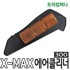 에피프레넘피나텀바리에가타