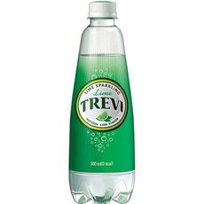 보람스마켓 롯데 트레비 라임 500ML X 6페트 탄산수