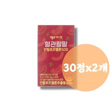 씨스팡 혈관팔팔 500mg x 30정, 2개, 30캡슐