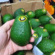 B의식탁 프리미엄 페루 아보카도 약220g, 5개