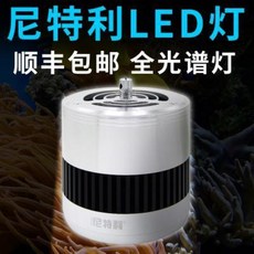 45e9c9747814372bf894e96693876e60b3ae25dd1564ffcecbbfcc425be9.jpeg