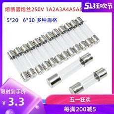 1a250v퓨즈