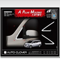 카니발티비브라켓