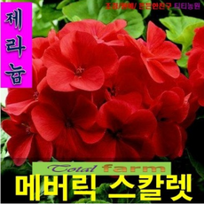 85c09b7e802d550828c175d8c585b12b6670a45c8ba4b0644b5713affbaf.png