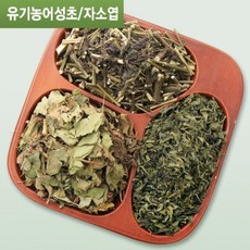 두피차