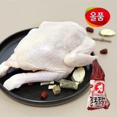 올품 홍삼먹여키운 토종닭 18호 1.75kg X 2마리 + 부재료 2팩 무료증정, 홍삼먹인토종닭18호(개체)(2수)+부재료2팩