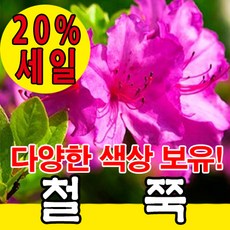 6cc829d5820167f523a33b5d80b2bdc3e9fde61aba9f652aacaedce91393.jpg
