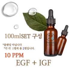 에코문 EGF + IGF 10ppm 2EA세트-100ml 원액 앰플 에센스, 1개, 100ml - 에코문