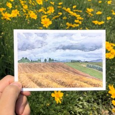 서울어반스케치