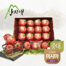 [2023년산] 산지애 씻어나온 꿀사과 3kg 1box (중대과) 청송산 미시마 당도선별, 1개