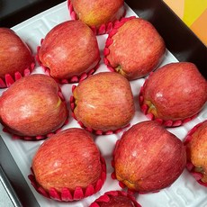 프리미엄 홍로 사과 정품 선물세트 5kg, 1개, 대과 14-15과