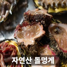 청담농수산 국내산 프리미엄 통영 거제도 자연산 돌멍게, 1개, 1kg기준 8-13미