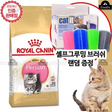 로얄캐닌키튼4kg