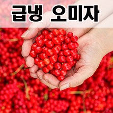 생오미자22년산