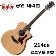 Taylor 214ce 로즈우드 ES2 테일러 통기타 어쿠스틱