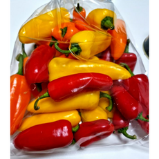 국내산 미니 꼬마 파프리카 아삭 샐러드용 색상 가니쉬 국산 피망 혼합 달달, 1개, 1kg