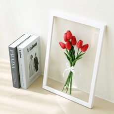 투명식물액자