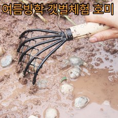 초등학생방학체험