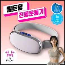 핏온 휴대용 덜덜이 뱃살 다이어트 온열 진동기 지방 연소 벨트 마사지기 복부 운동기구, 라이트블루