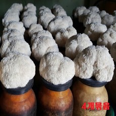 노루궁뎅이버섯키우기 배지 키트 국내산 집에서 버섯 키우기 어린이체험 친환경 무농약 농산물 버섯기르기 톱밥베지 놀이방 자연체험 4개묶음 6개묶음, 4개