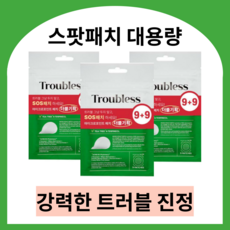 에센허브티트리100오일