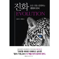 짐머만책