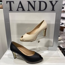 탠디가보시토오픈