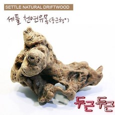 세틀 오푸와 유목 ( size :S 15cm 미만 )