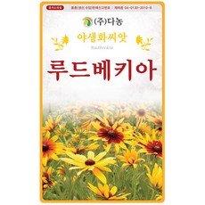 에키네시아씨앗