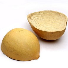 65fc5d674a9bd45de4a4c12031b2a9d7e747dc5b33e4d0fdb1a793ea1fa7.jpg